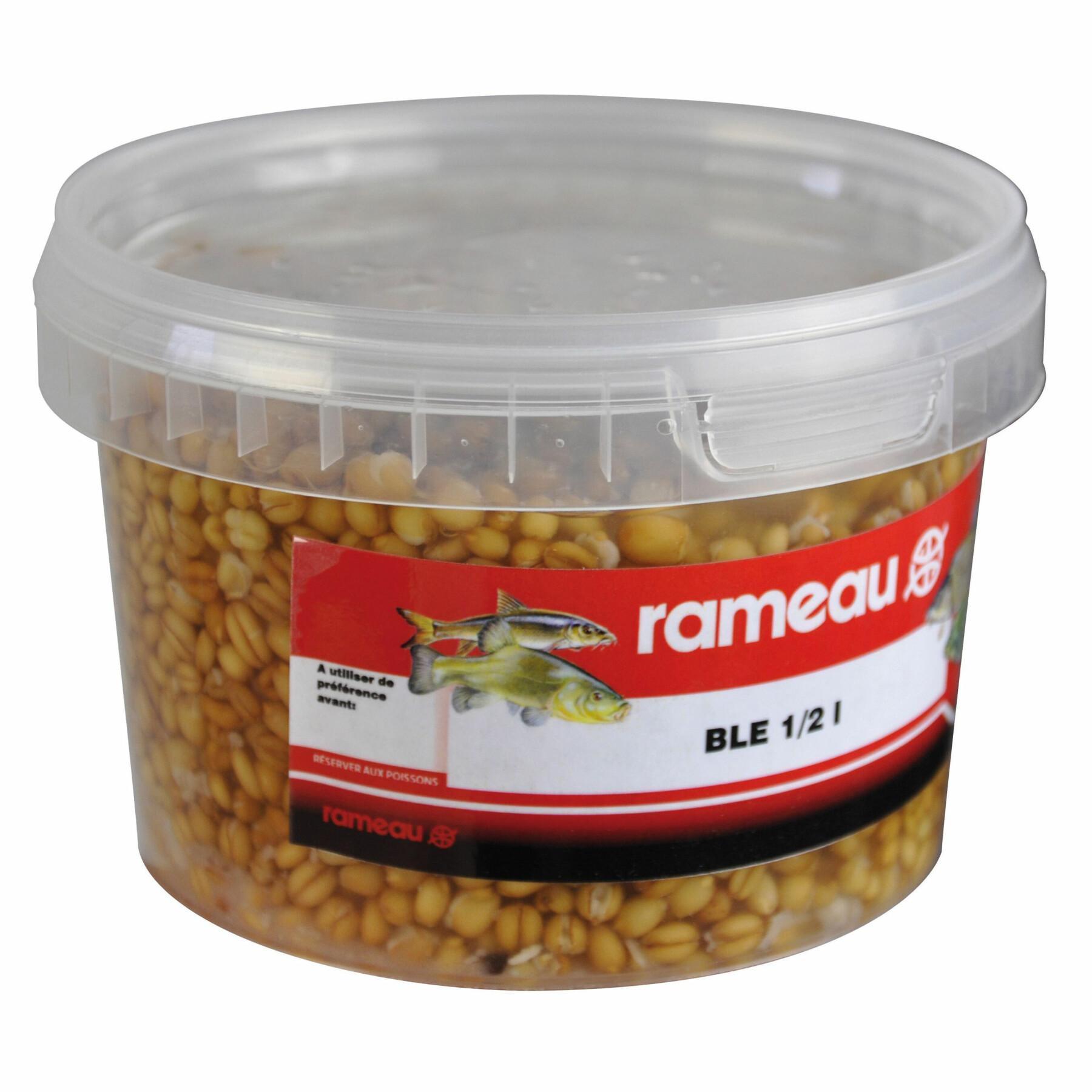 Semi di grano cotti Rameau 0,5 L