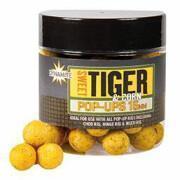 Boilies dense Dynamite Baits sweet tiger & corn Pop-ups 15 mm